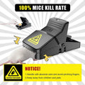 Heavy Duty Plastic Mouse Trap (Random color) - Pack off 1